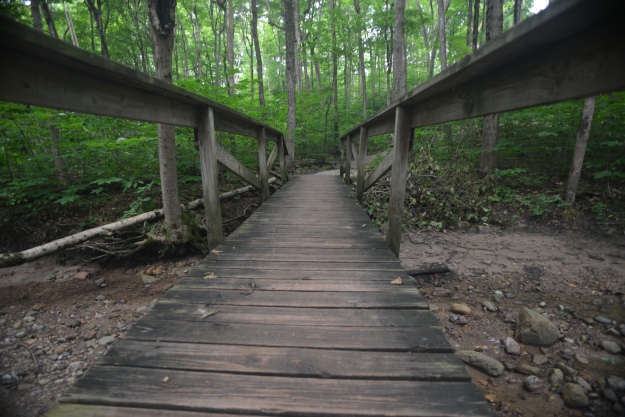 Wooden Bridge in the Woods